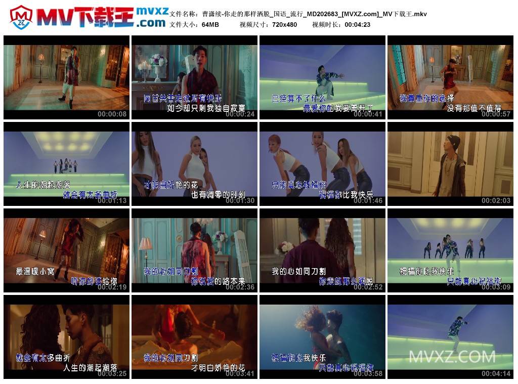 曹潇续-你走的那样洒脱_国语_流行_MD202683